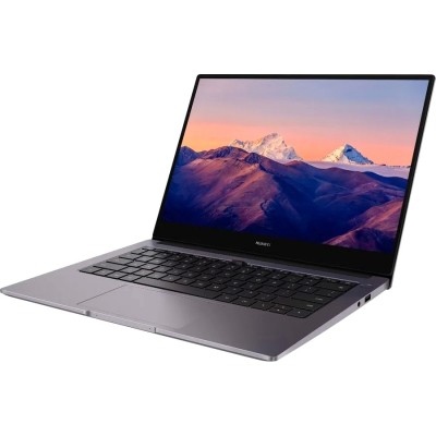 Ноутбук Huawei MateBook B3-420 NDZ-WDH9A (53013FCU)