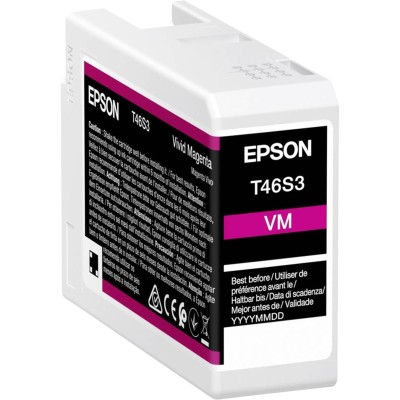 Картридж Epson T46S3 (C13T46S300)